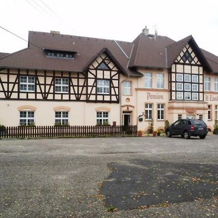 Penzion U Zamku Habartov Екстериор снимка